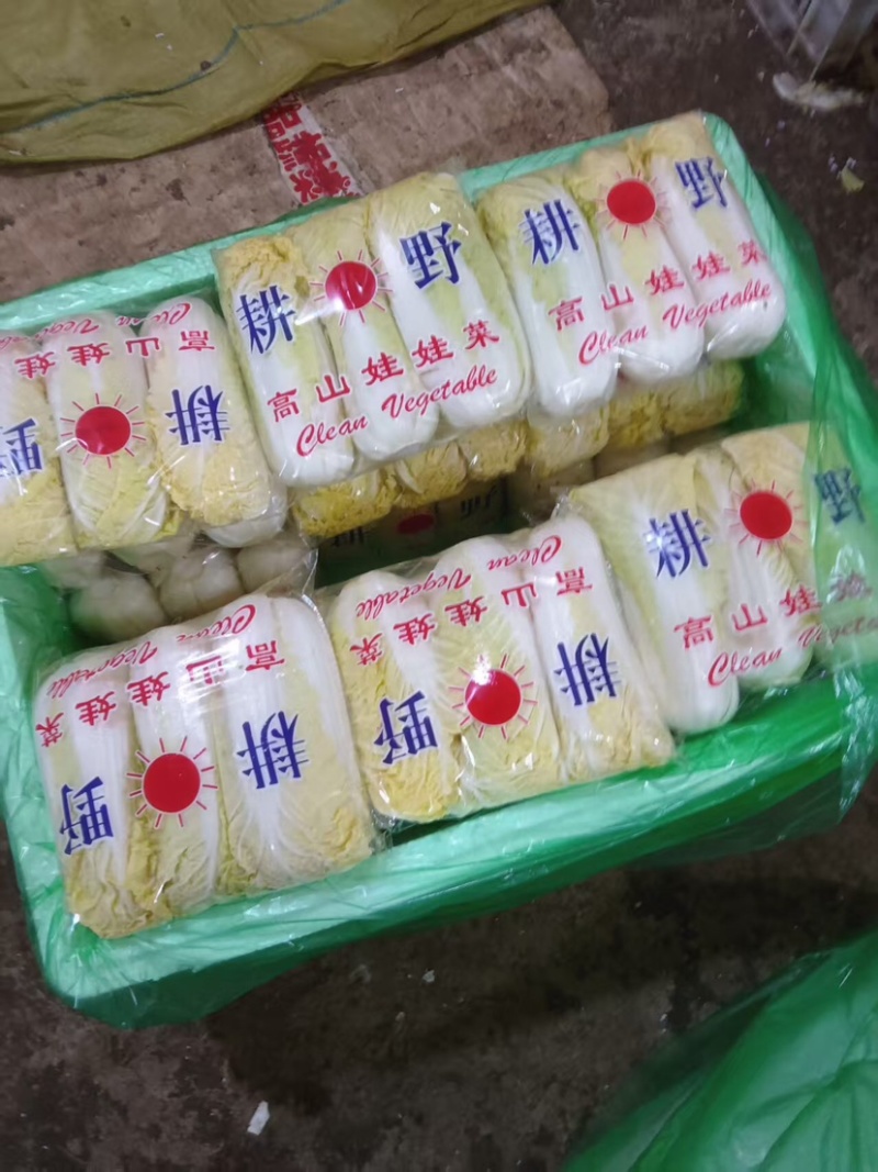 邯郸精品娃娃菜产地直发保质保量大量有货，欢迎订购