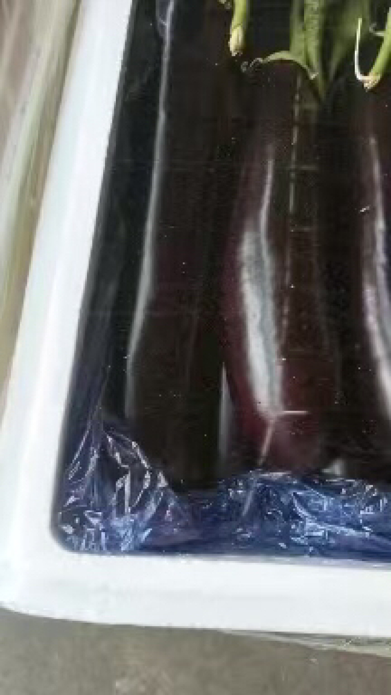 邯郸精品茄子大量供应中，欢迎各地老板洽谈采购