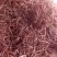 云南野生白毛骨碎补生货鲜货100斤起发货