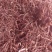 云南野生白毛骨碎补生货鲜货100斤起发货