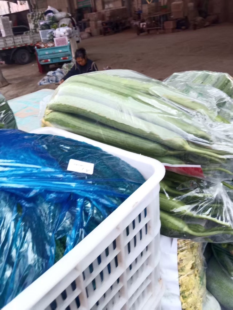 邯郸精品丝瓜大量有货欢迎各地老板前来采购