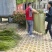 曼地亚红豆杉3-4年小苗四川基地直销现货批发手续齐全