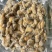 干水花蛤肉250克一包厂家直供量大从优品质保证