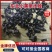 小黑条水蛭基地直发对接全国量大价优欢迎来电质询