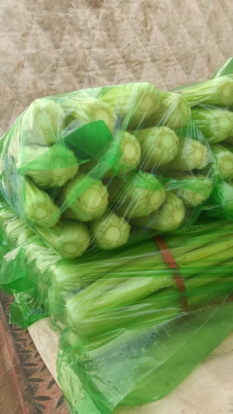 邯郸西芹，产地直发，大量有货，欢迎全国各地老板前来订购