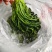 【泡菜】优质青咸菜批发