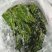 【泡菜】优质青咸菜批发