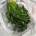【泡菜】优质青咸菜批发