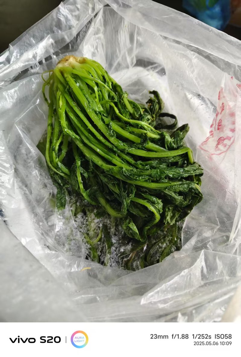 【泡菜】优质青咸菜批发