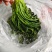 【泡菜】优质青咸菜批发