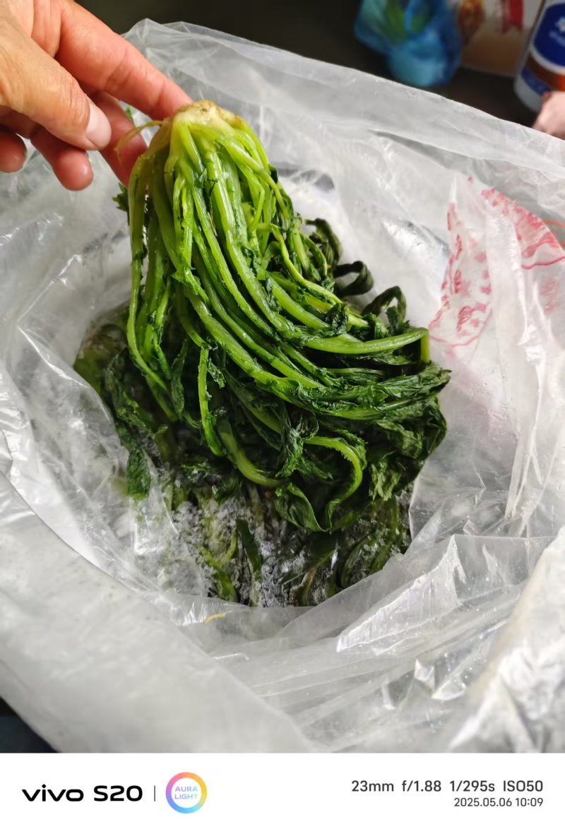 【泡菜】优质青咸菜批发