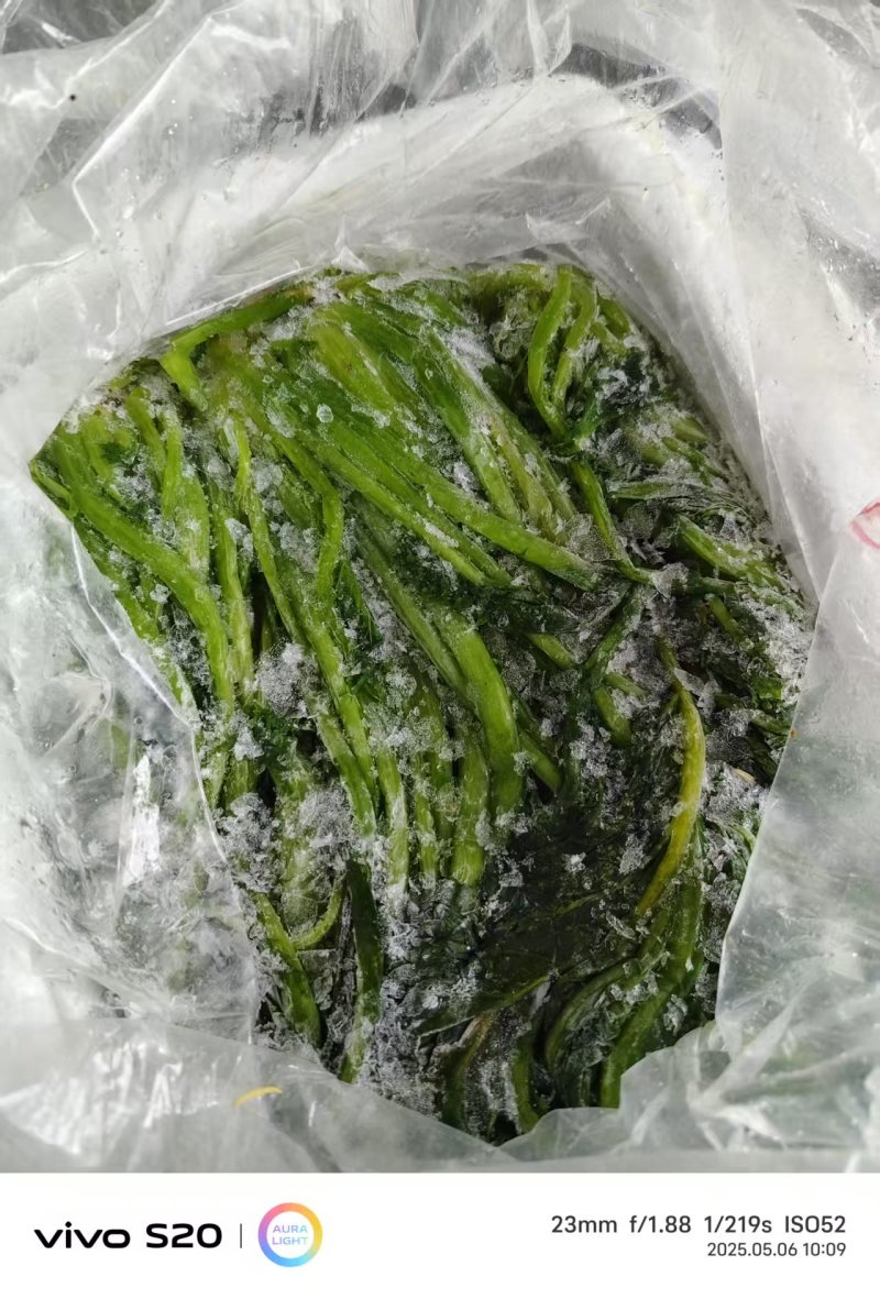 【泡菜】优质青咸菜批发