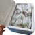 【泡菜】优质青咸菜批发
