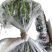 【泡菜】优质青咸菜批发
