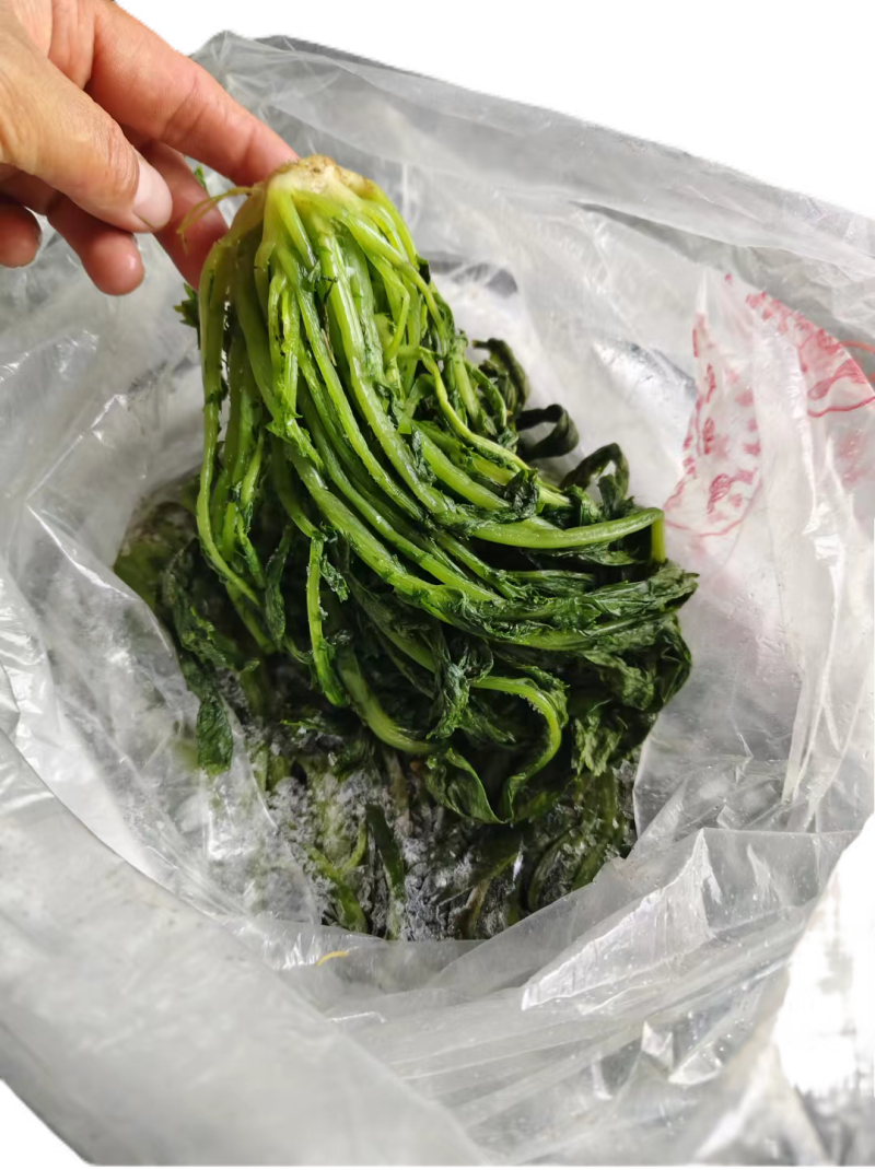 【泡菜】优质青咸菜批发