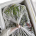 【泡菜】优质青咸菜批发