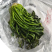 【泡菜】优质青咸菜批发