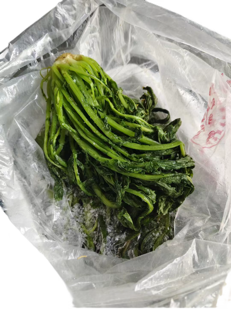 【泡菜】优质青咸菜批发