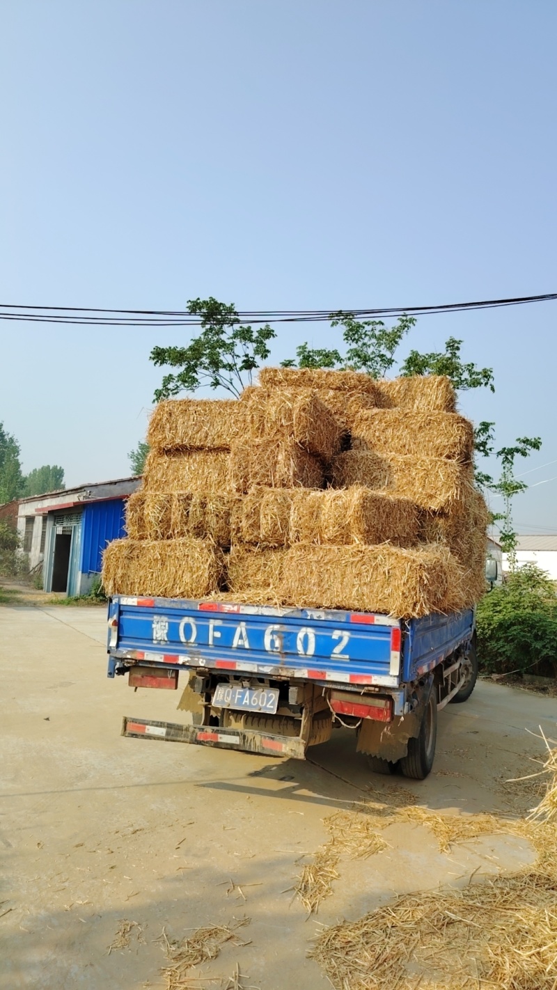 小麦秸秆