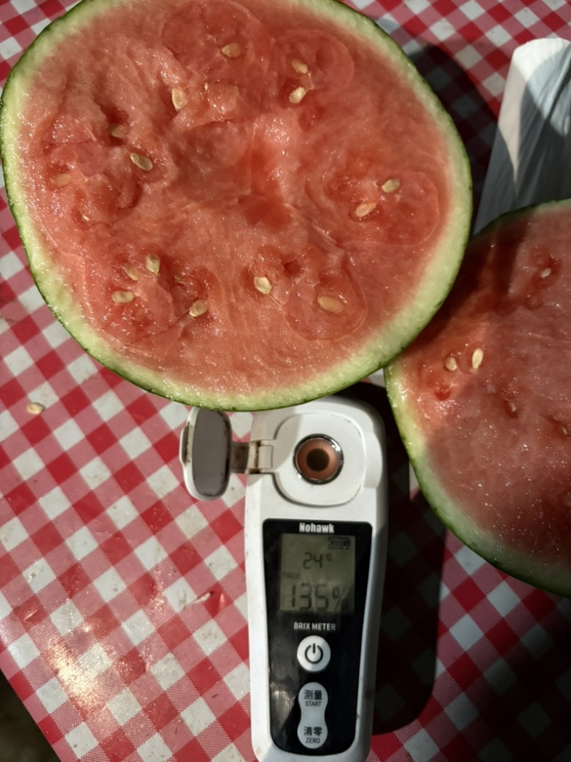 蜜童无籽西瓜
