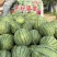蜜童无籽西瓜