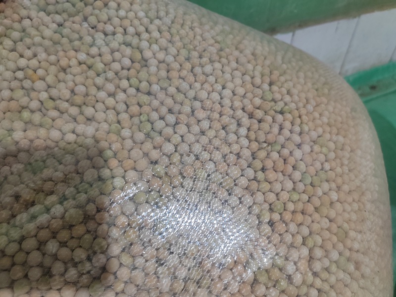 白豌豆云南本地白豌豆