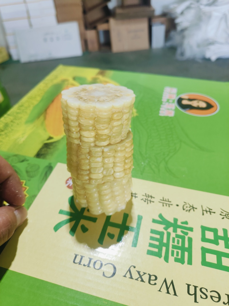 速冻玉米段3cm
