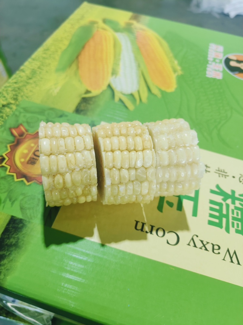 速冻玉米段3cm