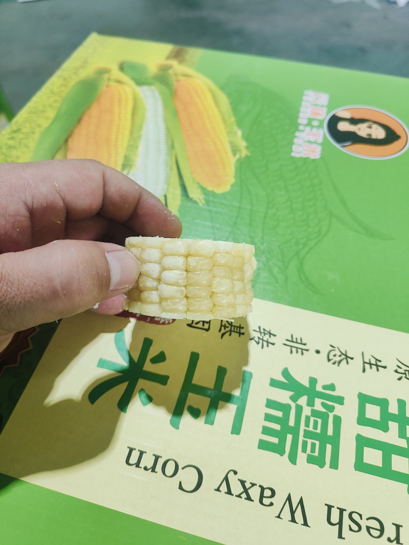 速冻玉米段3cm