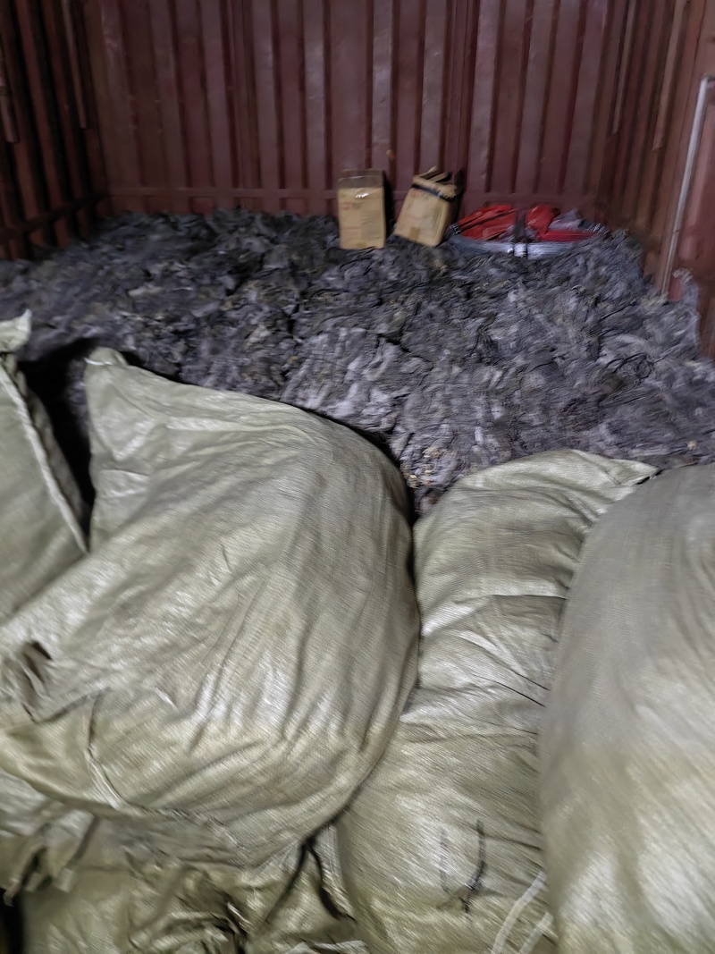 自产自销帮家人卖福建无沙干海带深海口感不错
