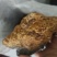 桦树茸
