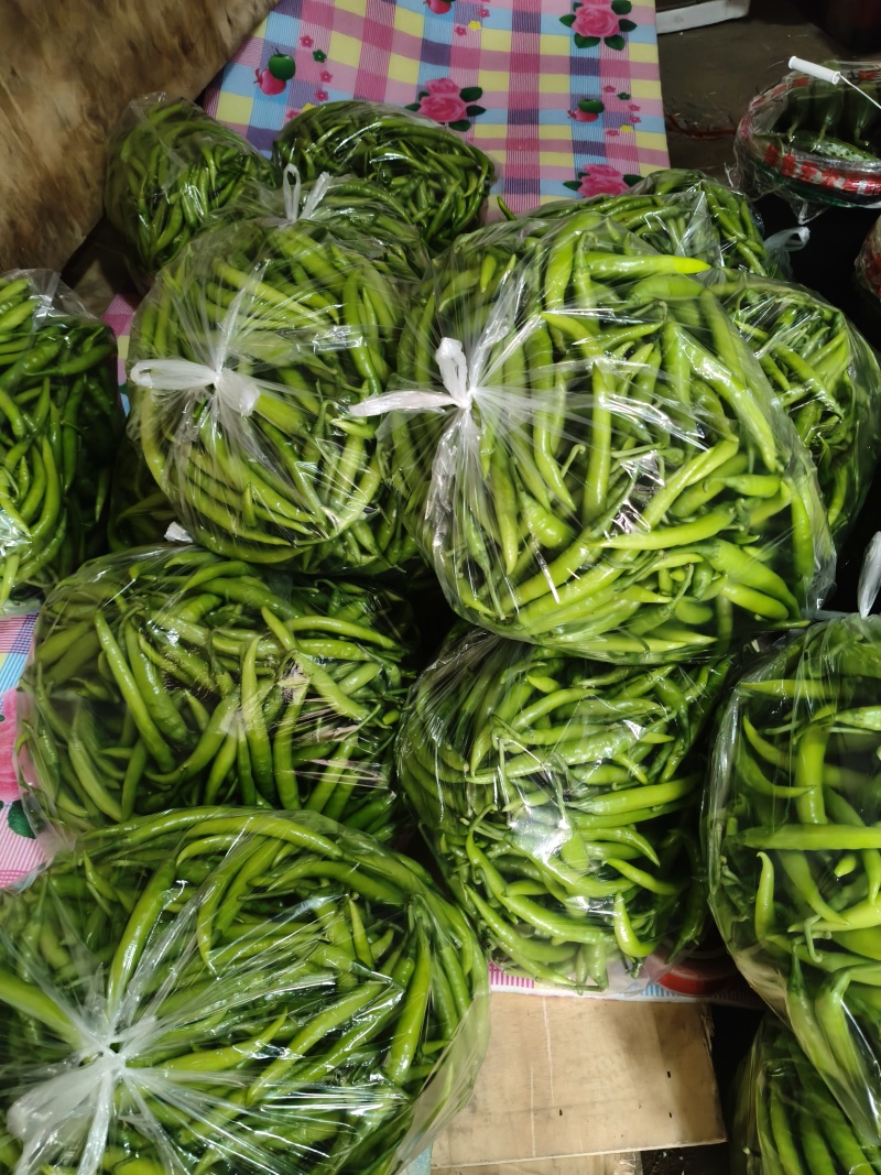 杭椒大量上市，