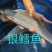 精品银鳕鱼大量供货对接全国市场商超社区团购欢迎来电