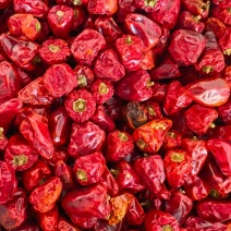 灯笼椒草莓椒干辣椒基地直发质量保证全国发货