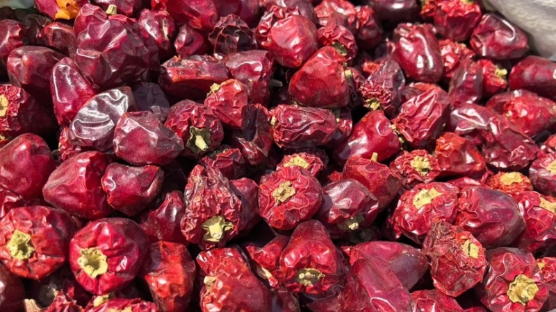 灯笼椒草莓椒干辣椒基地直发质量保证全国发货