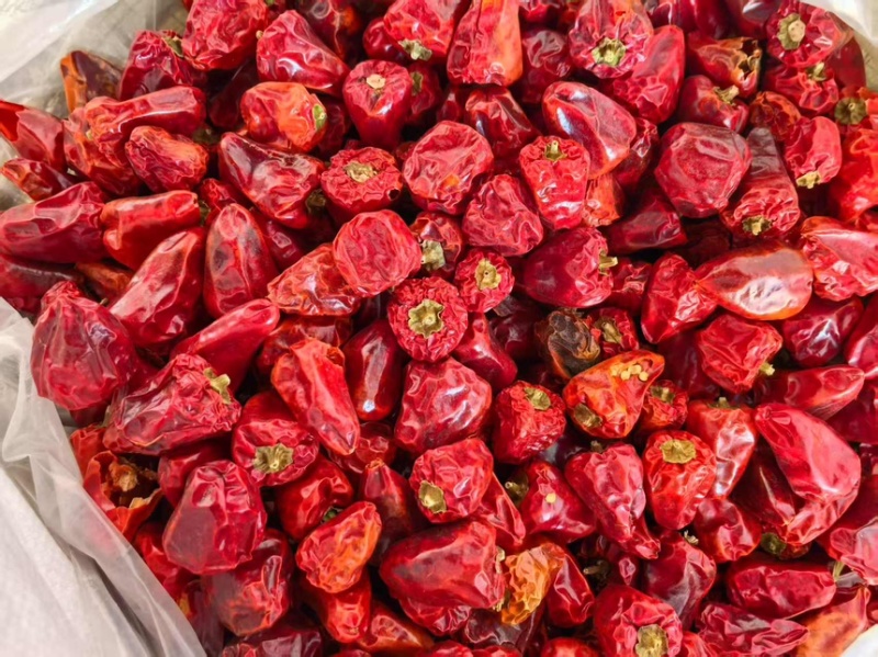 灯笼椒草莓椒干辣椒基地直发质量保证全国发货