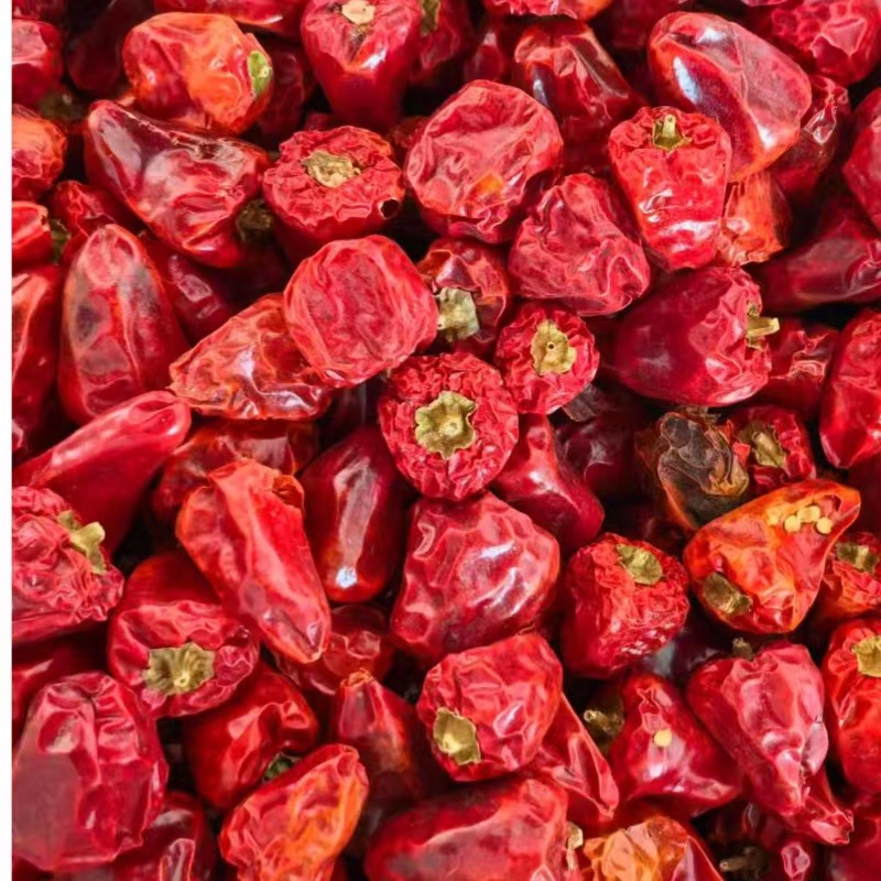 灯笼椒草莓椒干辣椒基地直发质量保证全国发货