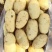 土豆