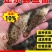 鳜鱼苗大量供应品质保证支持视频看货欢迎来电洽谈详谈