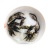 鳜鱼苗大量供应品质保证支持视频看货欢迎来电洽谈详谈