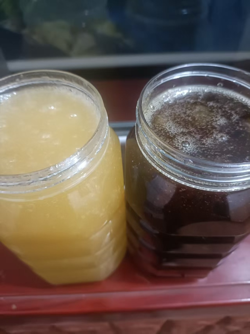 精品槐花蜜产地发货一手货源批发价格便宜欢迎下单咨询