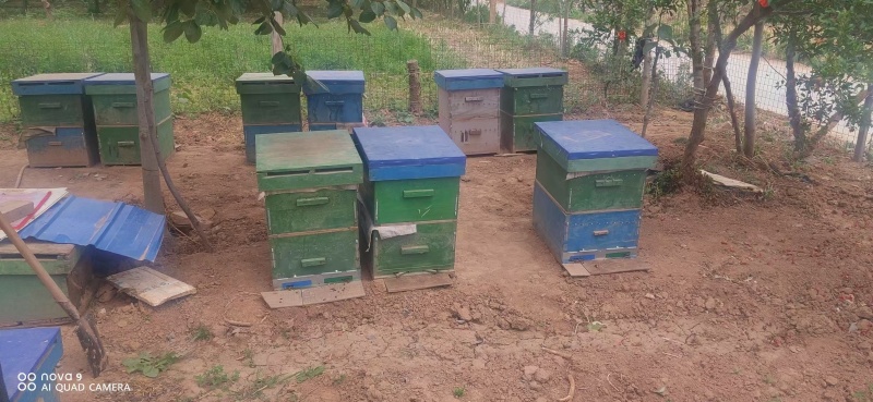 精品槐花蜜产地发货一手货源批发价格便宜欢迎下单咨询