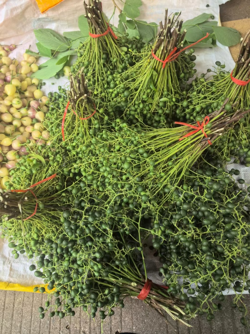 鸡皮果（山黄皮）