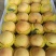 套代桃黄量大