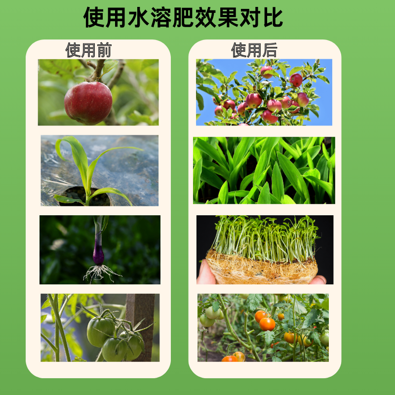 有机水溶肥料氨基酸水溶肥