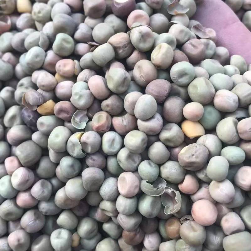 青麻豌豆绿麻豌豆磨粉淀粉凉粉酒曲
