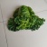 精品毛白菜上市，量大从优，需要的老板，与我电话联系！