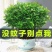 蚊虫包驱赶】正宗清香木盆栽花卉绿植一年四季净化空气吸甲醛
