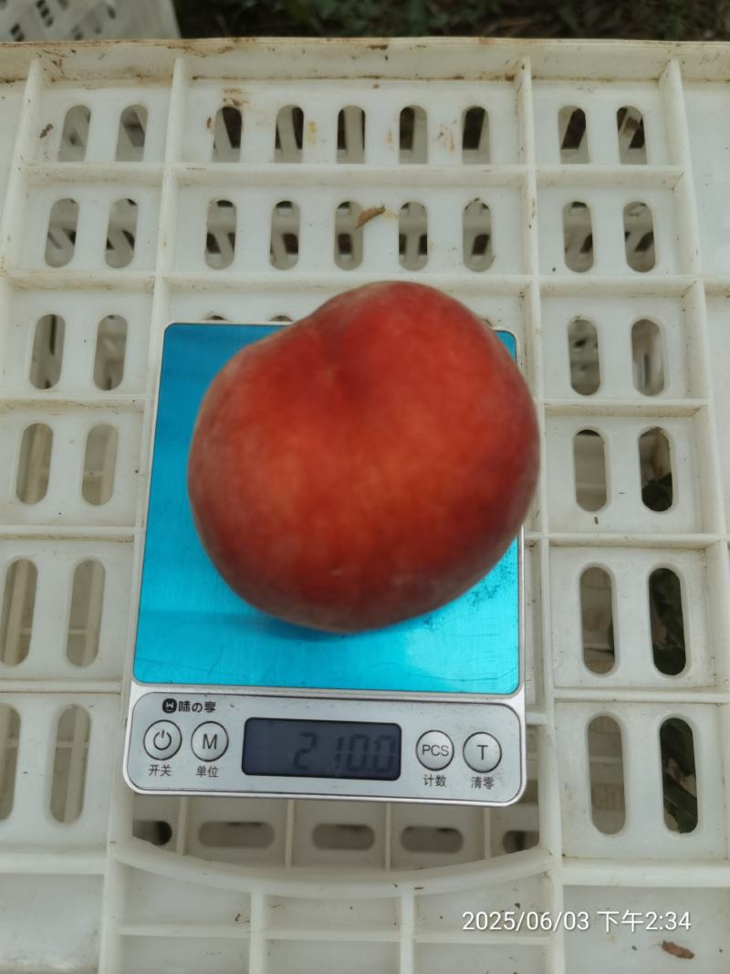 基地直供红桃，香甜可口，水分充足，耐储存优良品种桃子上市