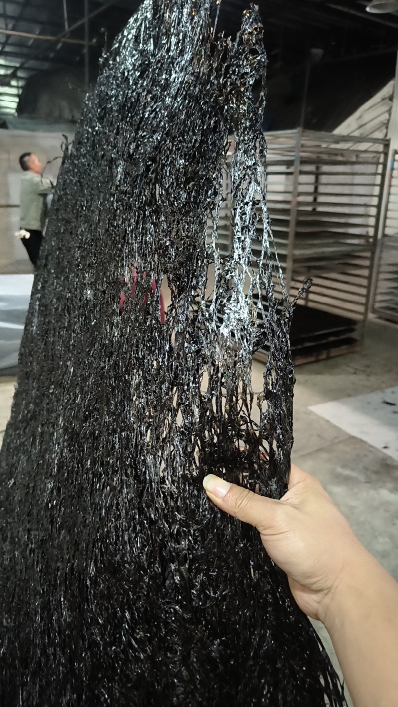 霞浦头水方形紫菜，厂家直销，对接社区团购。